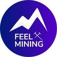 Icon of program: Feel Mining