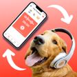 Icône du programme : Dog Translator - Pet Pran…