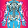 プログラムのアイコン：Healthy joints forever