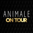 Ikona programu: Animale - Moda Feminina