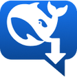 ไอคอนของโปรแกรม: Deepseek Chat Exporter