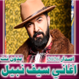 程序图标：اغاني سيف نبيل 2023 بدون …