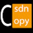 Icon of program: CSDN可复制