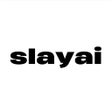 Icoon van programma: SlayAI: Clothing Scanner