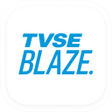 Icon of program: TVSE Printer