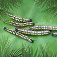 プログラムのアイコン：Pacific Pests, Pathogens …