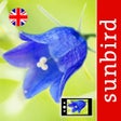 أيقونة البرنامج: Wild Flower Id British Is…