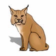 Icon of program: Lynx