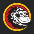 Ícone do programa: Gorilla Car Wash