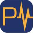 プログラムのアイコン：PayPulse