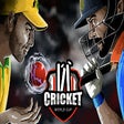 프로그램 아이콘: Cricket World Cup : Baseb…