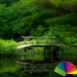 程序图标：Nature Theme By Arjun Aro…
