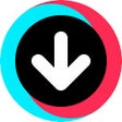 程序图标：TikTok Video Keeper
