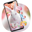 程序图标：Flower And White Rabbit H…