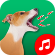 Иконка программы: Dog Sound Ringtones Wallp…