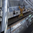 프로그램 아이콘: Liftoff: Drone Racing