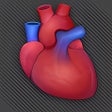 Icon of program: Google Body