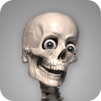 Иконка программы: Skelly: Poseable Anatomy …