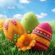 Ikona programu: Easter Egg Wallpaper