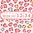 程序图标：Leopard Candy for[+]HOME