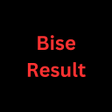 程序图标：Bise Result Check Online