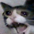 Icon of program: A Place To Sit And Cry