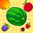 ไอคอนของโปรแกรม: Striped Fruit: Watermelon…