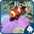 أيقونة البرنامج: Sea life Jigsaw Puzzles -…