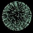 Ícone do programa: Fireworks Tap AR