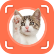 Cat Identifier - Cat Scanner