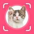 プログラムのアイコン：Cat Identifier - Cat Scan…