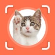 Icon of program: Cat Identifier - Cat Scanner