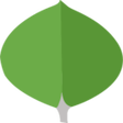 Icoon van programma: Mongodb atlas extension