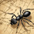 Icoon van programma: AntMaps Plus