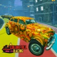 Ikon program: Colorful Racing