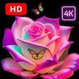 Roses images GIFs - Flowers HD