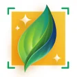 プログラムのアイコン：Plant-X Plant Identificat…
