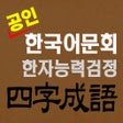 ไอคอนของโปรแกรม: 도전 사자성어 Chinese Four-Idio…