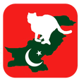 أيقونة البرنامج: Pakistani apps and games.