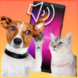 程序图标:iTranslator: Dog and Cat