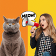 Programın simgesi: CatLingo: Meow Translator