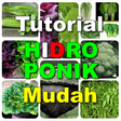 プログラムのアイコン：Tutorial Hidroponik Mudah