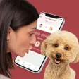 Icon of program: Dog Translator Prank Simu…