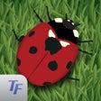 Иконка программы: Fun Bugs
