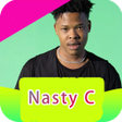 程序图标：Nasty C songs offline