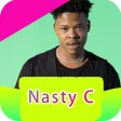 Nasty C songs offline