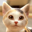 Programın simgesi: with My CAT