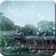 Ícone do programa: Raindrop Live Wallpaper P…