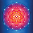 Icon of program: Law of Attraction Space