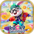 程序图标：Luck9 NeuroDigits